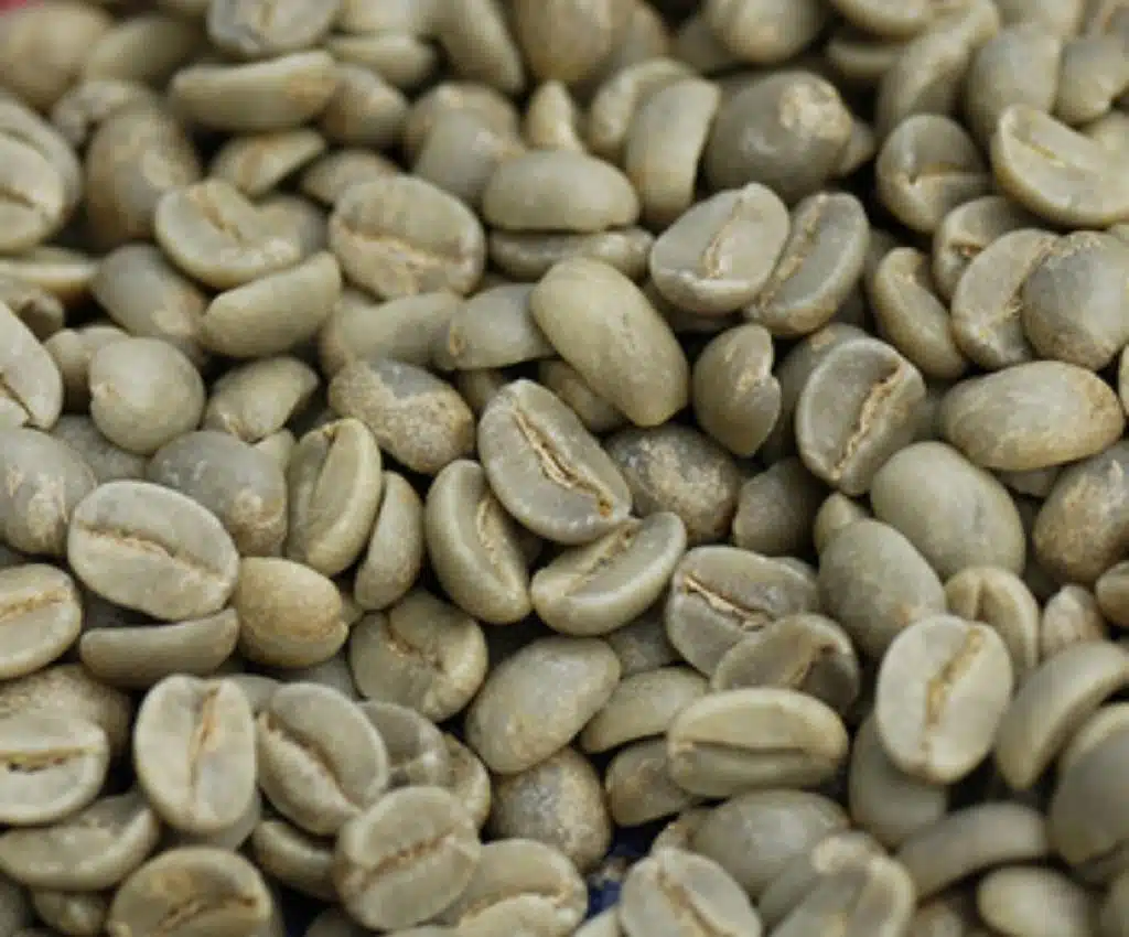 Café a Granel - Imagen 2